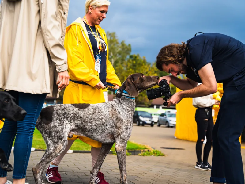 Hund mit Josera-Produkt beim Event